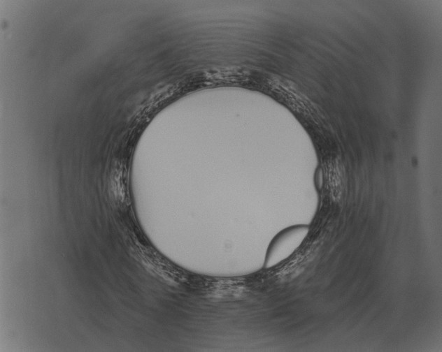 X0000073450770200608251705