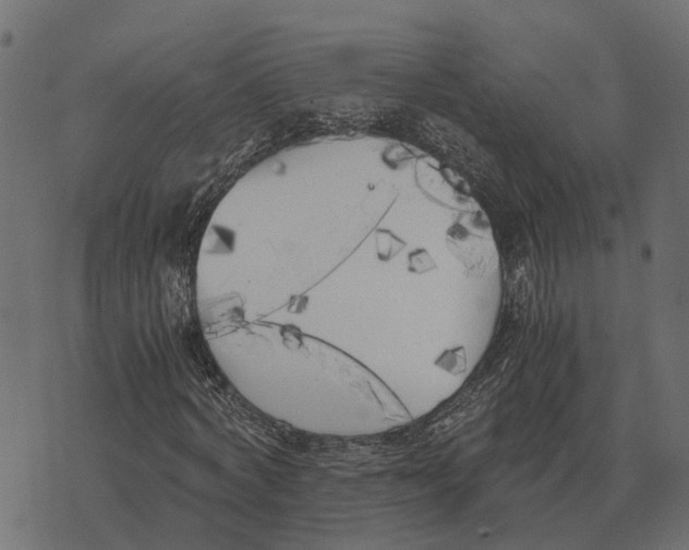 X0000073450772200608251705