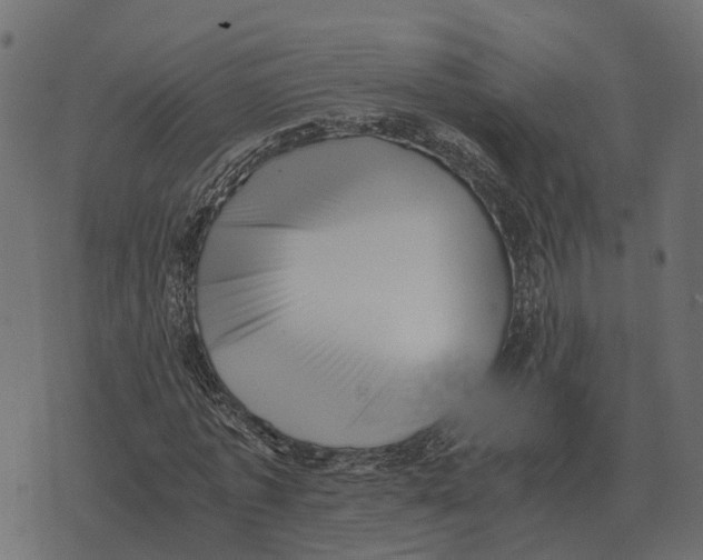 X0000073450773200608251705