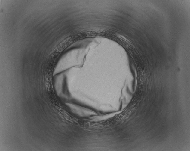 X0000073450774200608251705