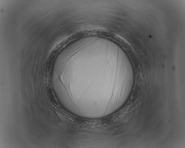 X0000073450775200608251705