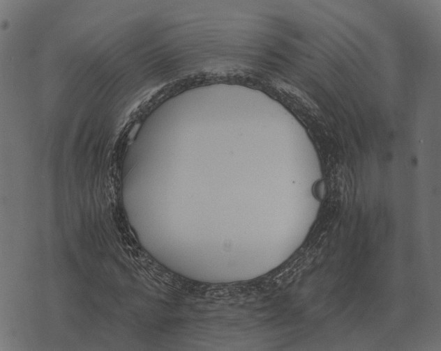 X0000073450776200608251705