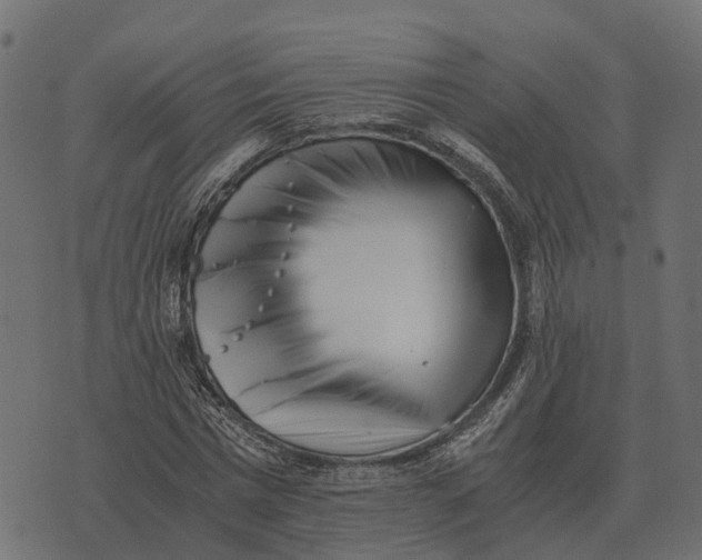 X0000073450777200608251705