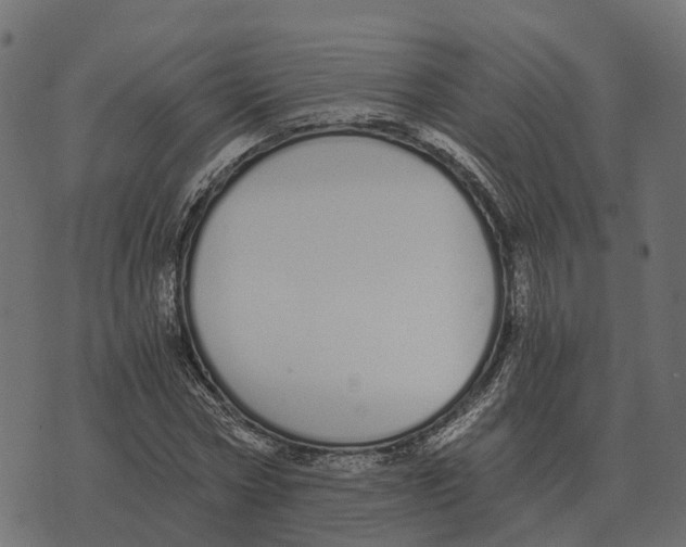 X0000073450778200608251705