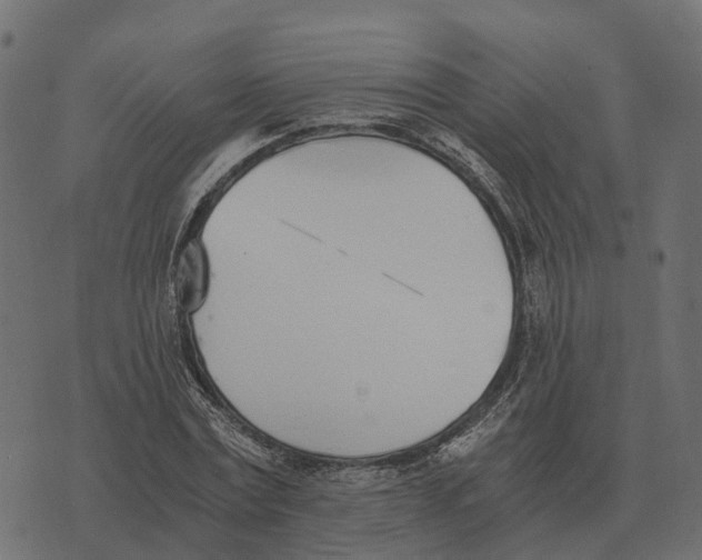 X0000073450779200608251705