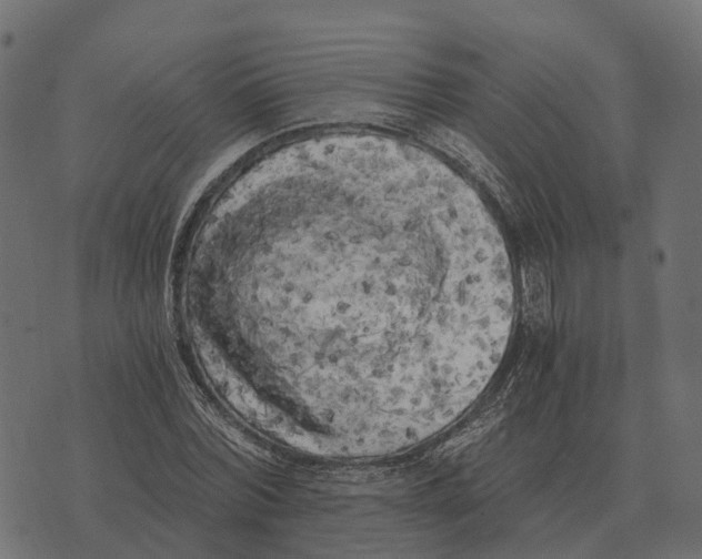 X0000073450780200608251705