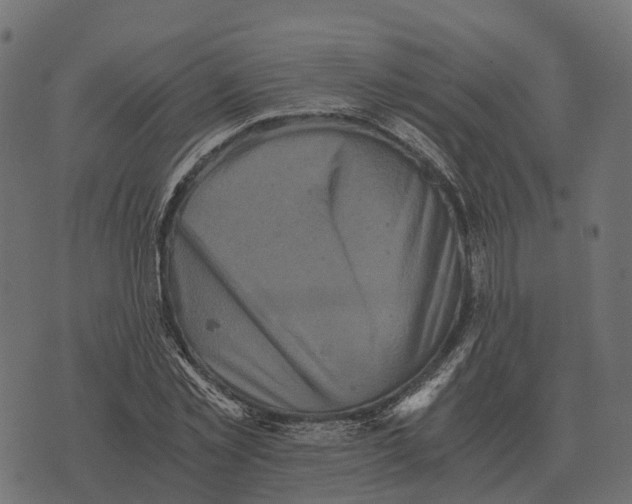 X0000073450781200608251705