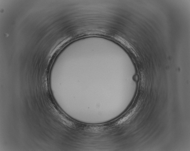 X0000073450782200608251705