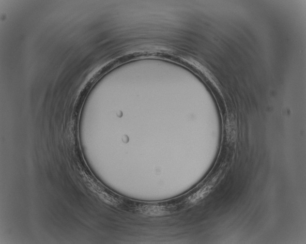 X0000073450783200608251705