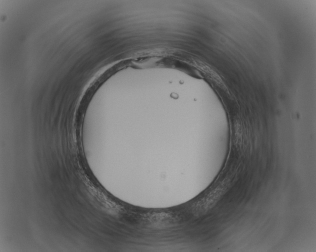 X0000073450784200608251705