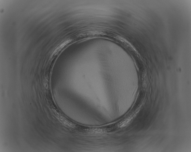 X0000073450785200608251705