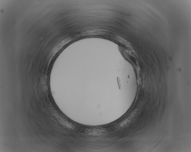 X0000073450786200608251705