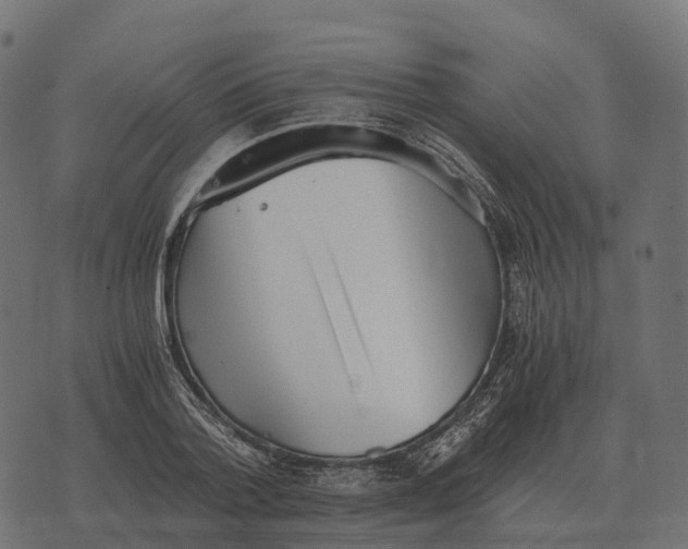 X0000073450788200608251705