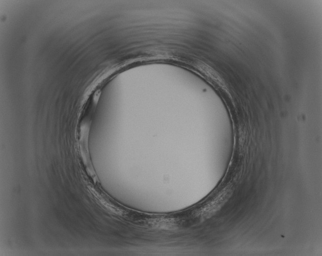 X0000073450789200608251705