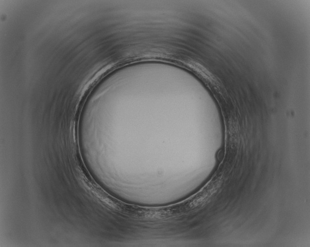 X0000073450790200608251705