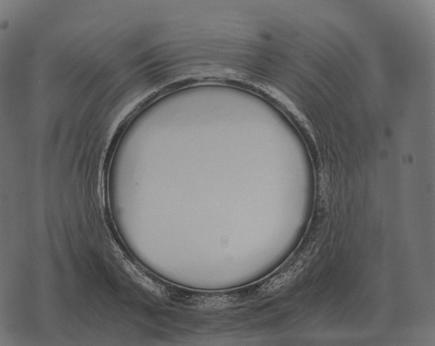 X0000073450791200608251704