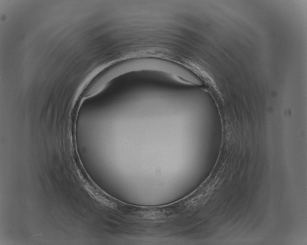 X0000073450792200608251704