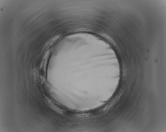 X0000073450793200608251704