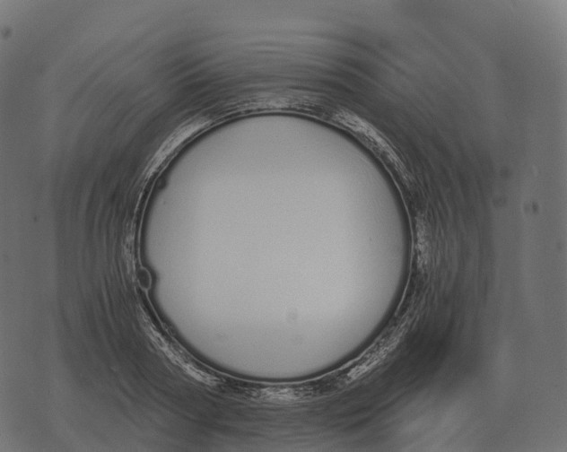 X0000073450794200608251704