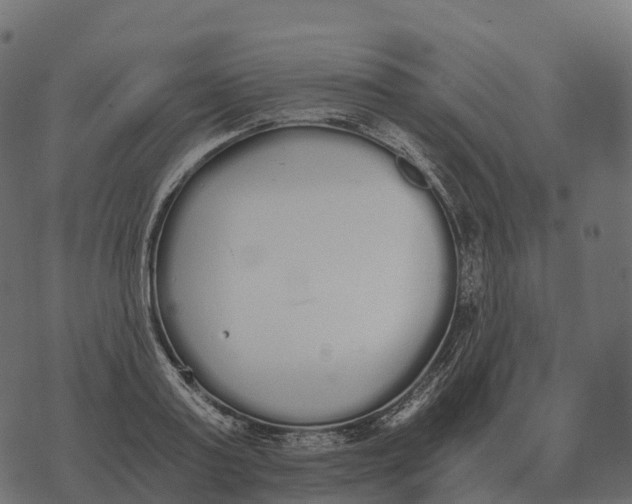 X0000073450795200608251704