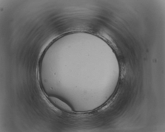 X0000073450796200608251704