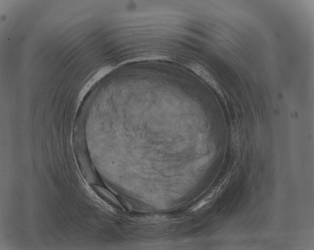 X0000073450797200608251704