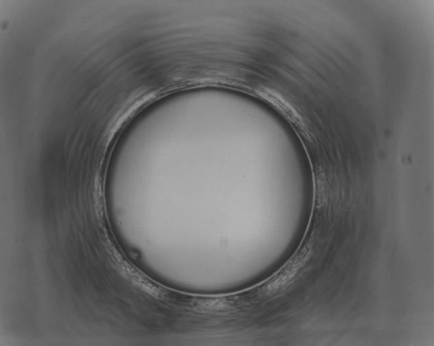 X0000073450798200608251704