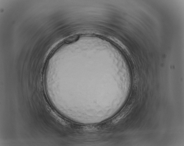 X0000073450799200608251704