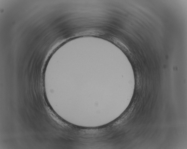 X0000073450800200608251704