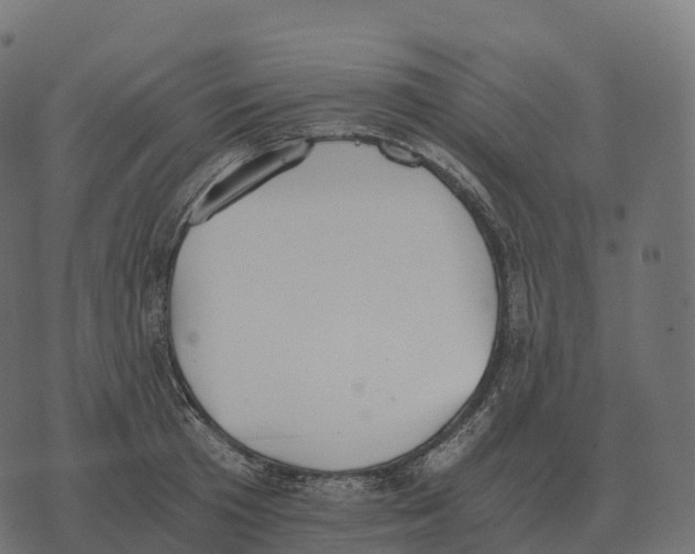 X0000073450801200608251704