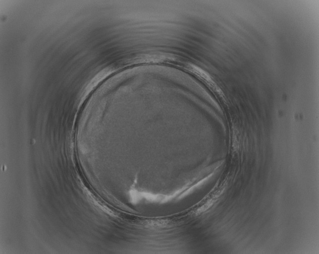 X0000073450802200608251704