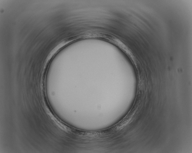 X0000073450803200608251704