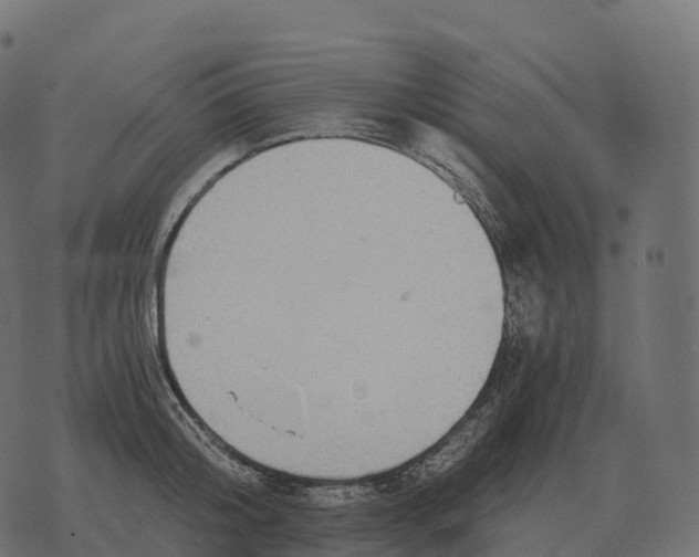 X0000073450804200608251704