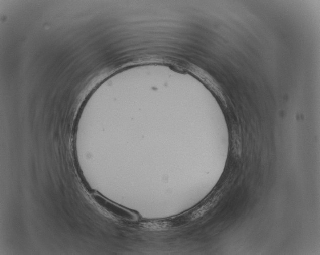 X0000073450805200608251704