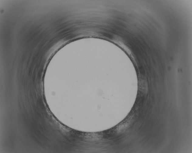 X0000073450807200608251704