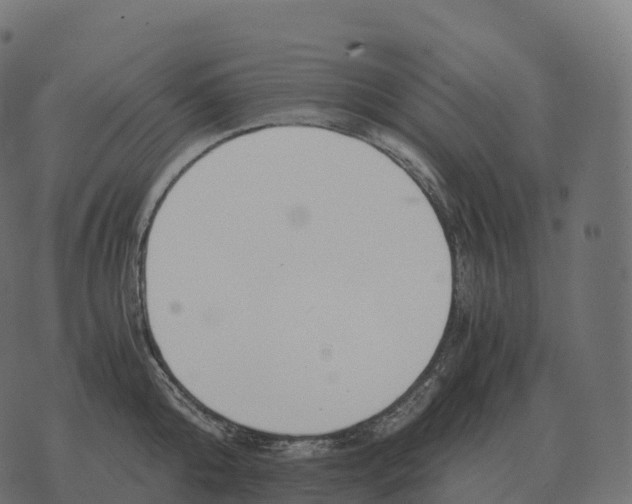 X0000073450808200608251704