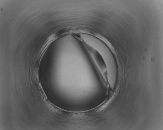 X0000073450809200608251704