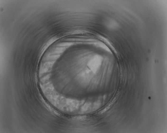 X0000073450810200608251704