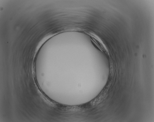 X0000073450811200608251704