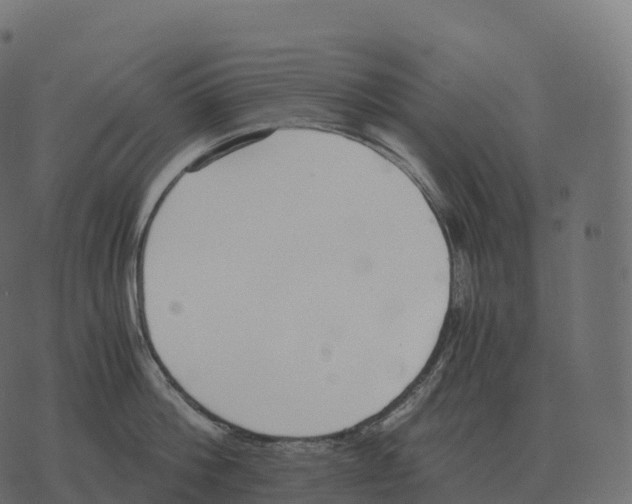 X0000073450812200608251704