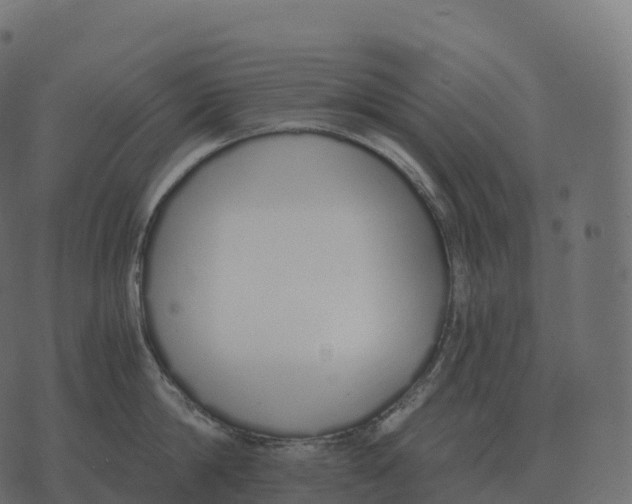 X0000073450814200608251704