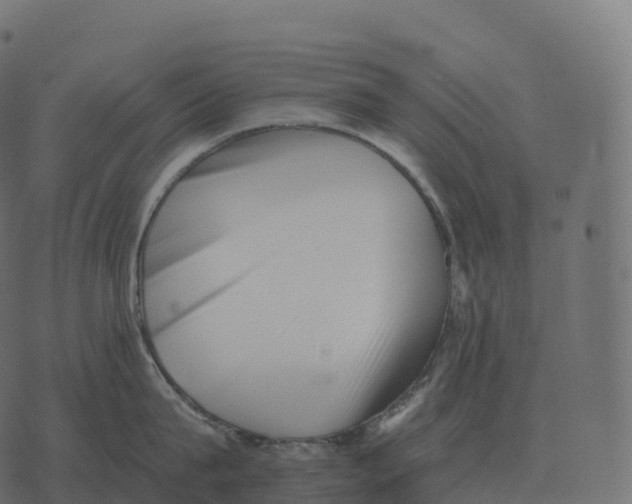 X0000073450815200608251704