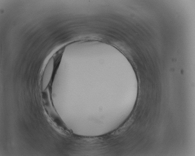 X0000073450816200608251704