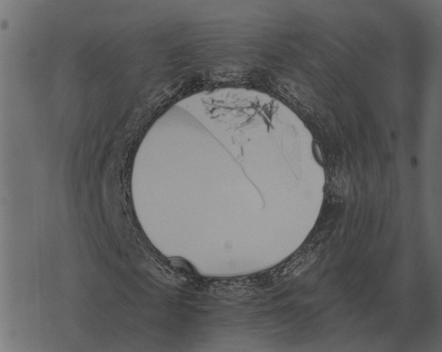 X0000073450817200608251703