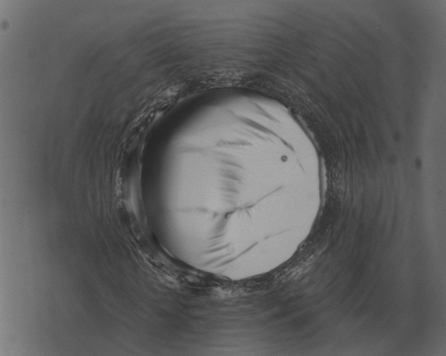 X0000073450818200608251703