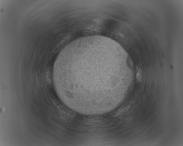 X0000073450819200608251703