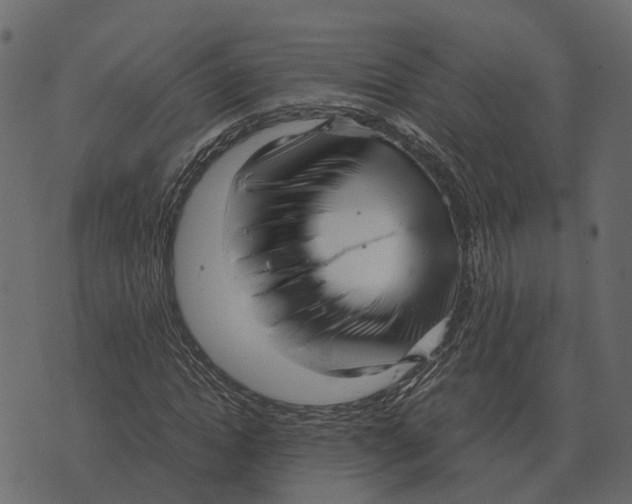 X0000073450822200608251703