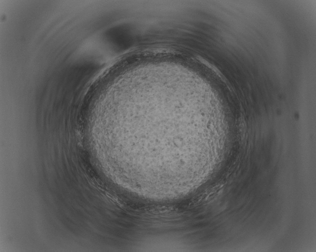 X0000073450823200608251703