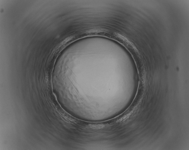 X0000073450825200608251703