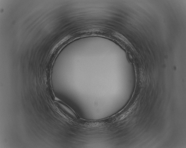 X0000073450826200608251703